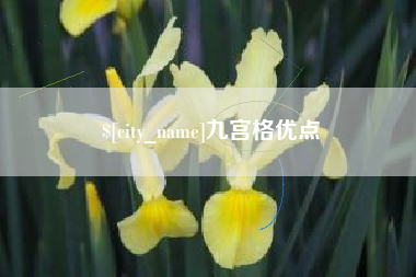 郯城九宫格优点