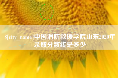 郯城中国消防救援学院山东2020年录取分数线是多少 郯城中国消防救援学院山东2020年录取分数线是多少