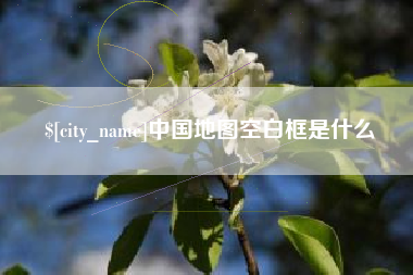 郯城中国地图空白框是什么