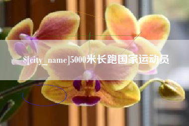 郯城5000米长跑国家运动员