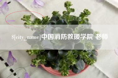 郯城中国消防救援学院 老师