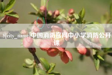郯城中国消防官网中小学消防公开课