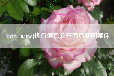 郯城执行信息公开网查到的案件