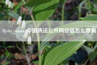 郯城中国执法公开网征信怎么查询