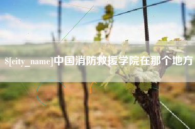 郯城中国消防救援学院在那个地方