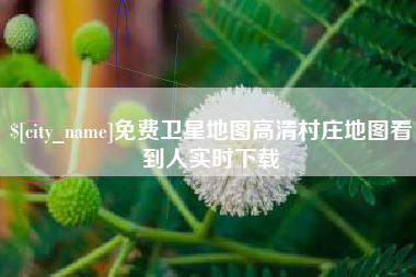 郯城免费卫星地图高清村庄地图看到人实时下载