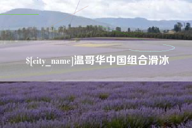 郯城温哥华中国组合滑冰