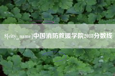 郯城中国消防救援学院2018分数线