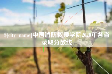 郯城中国消防救援学院2020年各省录取分数线