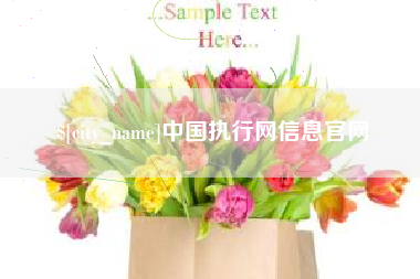 郯城中国执行网信息官网