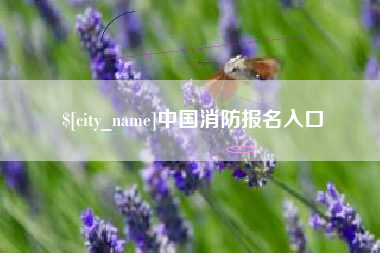 郯城中国消防报名入口