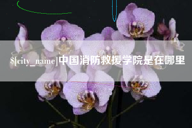 郯城中国消防救援学院是在哪里