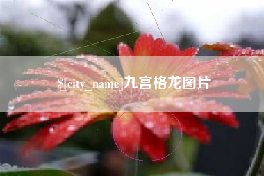 郯城九宫格龙图片