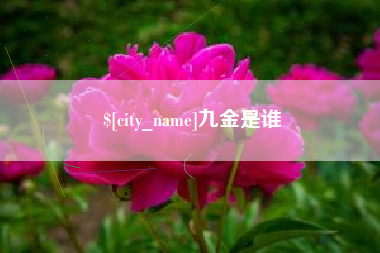 郯城九金是谁