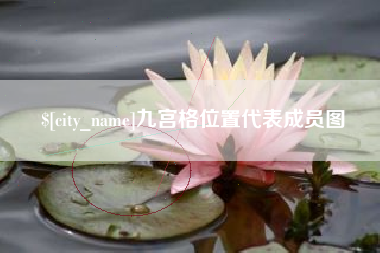郯城九宫格位置代表成员图