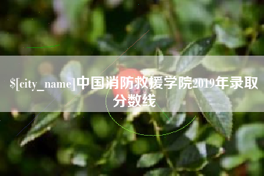 郯城中国消防救援学院2019年录取分数线