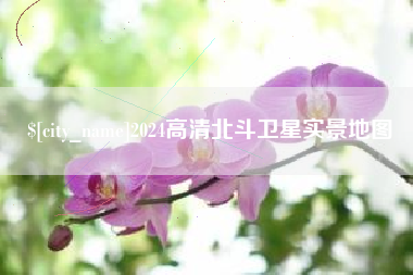 郯城2024高清北斗卫星实景地图