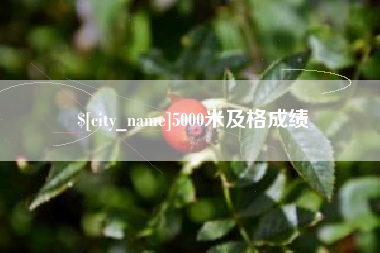 郯城5000米及格成绩