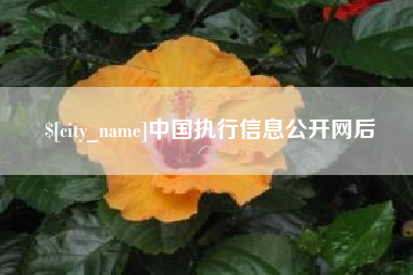 郯城中国执行信息公开网后