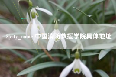 郯城中国消防救援学院具体地址