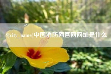 郯城中国消防网官网网址是什么