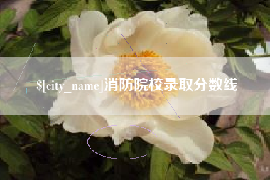 郯城消防院校录取分数线