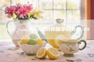 郯城中国消防救援学院分数2020