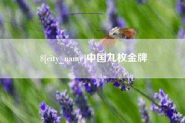 郯城中国九枚金牌