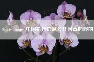 郯城中国执行信息公开网真的假的
