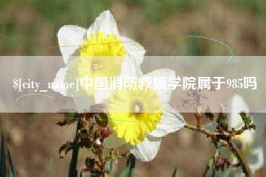 郯城中国消防救援学院属于985吗