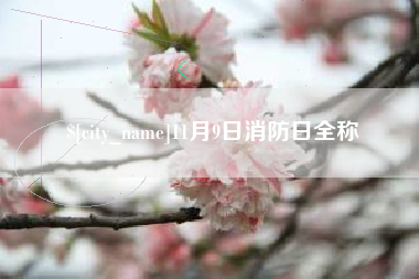 郯城11月9日消防日全称