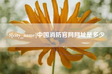 郯城中国消防官网网址是多少