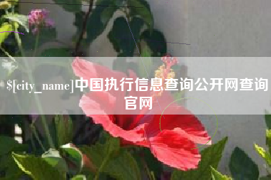 郯城中国执行信息查询公开网查询官网