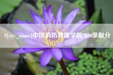郯城中国消防救援学院2020录取分