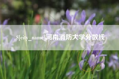 郯城河南消防大学分数线