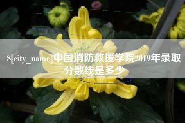 郯城中国消防救援学院2019年录取分数线是多少