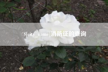 郯城消防证的查询