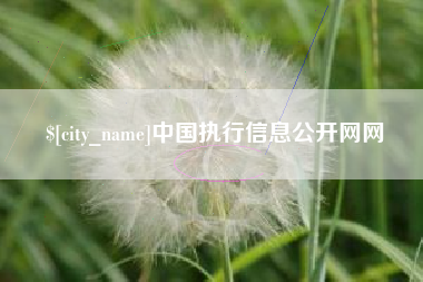 郯城中国执行信息公开网网