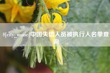 郯城中国失信人员被执行人名单查询