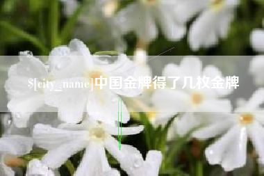 郯城中国金牌得了几枚金牌