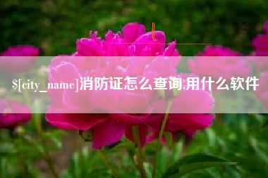 郯城消防证怎么查询,用什么软件
