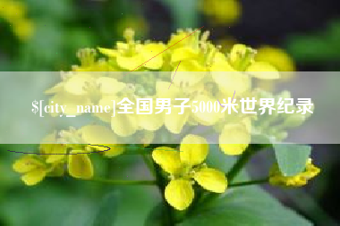郯城全国男子5000米世界纪录