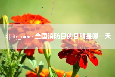 郯城全国消防日的日期是哪一天