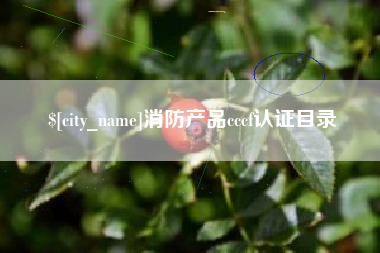 郯城消防产品cccf认证目录