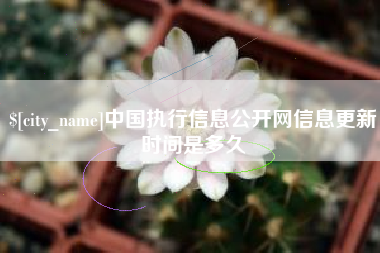 郯城中国执行信息公开网信息更新时间是多久