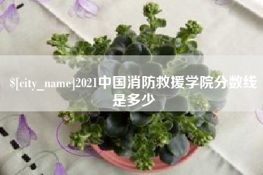 郯城2021中国消防救援学院分数线是多少