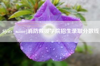郯城消防救援学院招生录取分数线
