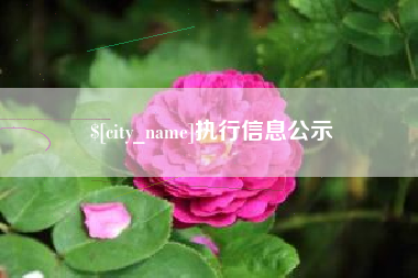 郯城执行信息公示