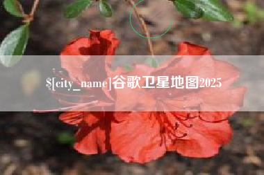 郯城谷歌卫星地图2025