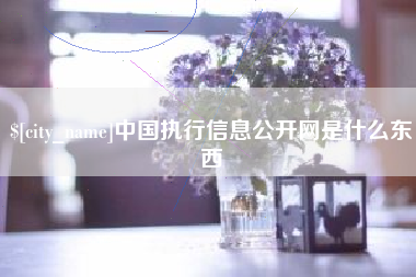 郯城中国执行信息公开网是什么东西